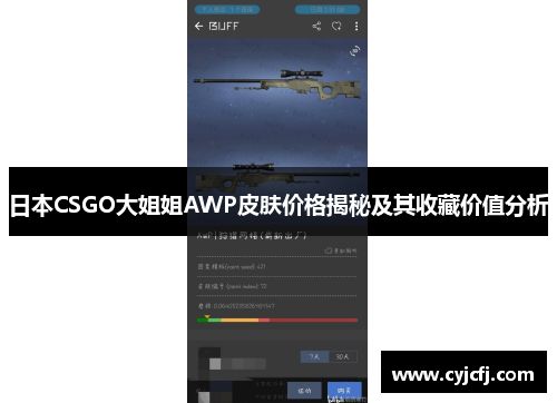 日本CSGO大姐姐AWP皮肤价格揭秘及其收藏价值分析