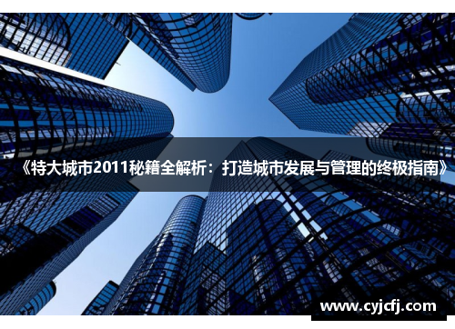 《特大城市2011秘籍全解析：打造城市发展与管理的终极指南》