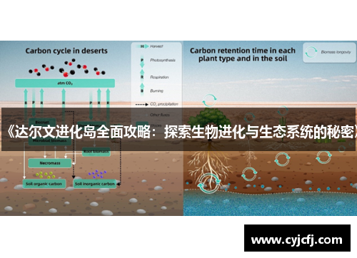 《达尔文进化岛全面攻略：探索生物进化与生态系统的秘密》